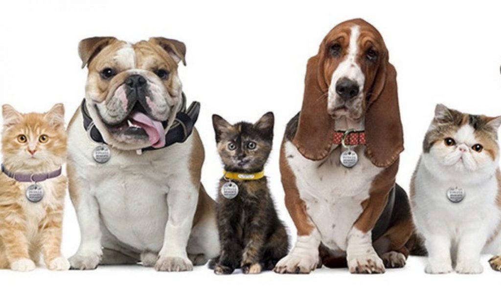 PET Aftercare Emergency 24 hour service Animal Cremation Society Of